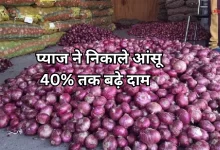 Photo of त्योहारों से पहले महंगा हुआ प्याज, जानें अपने शहर का रेट