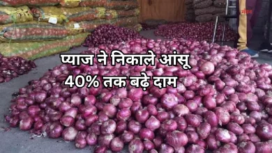 Photo of त्योहारों से पहले महंगा हुआ प्याज, जानें अपने शहर में आज का रेट