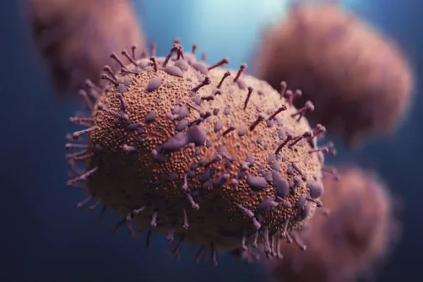 SwineFlu