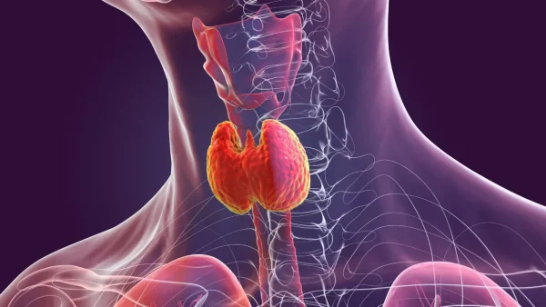 Thyroid