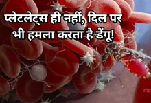 Photo of सावधान! डेंगू सिर्फ खून ही नहीं, दिल की धड़कन पर भी करता है हमला
