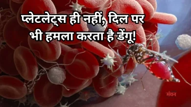 Photo of सावधान! डेंगू सिर्फ खून ही नहीं, दिल की धड़कन पर भी करता है हमला