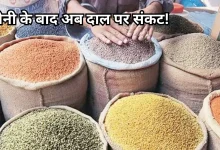 Photo of बढ़ सकते हैं दाल के दाम, सरकार बोली- चिंता मत करो, बफर स्टॉक है