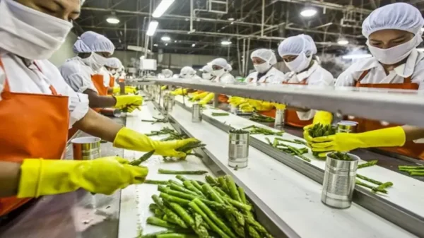 Food processing sector