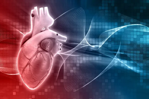 World Heart Day