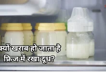 Photo of फ्रिज में रखने के बावजूद खट्टा हो जाता है दूध? ये है रखने के सही तरीका