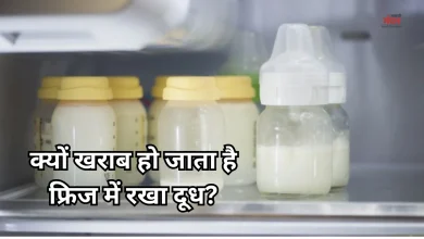 Photo of फ्रिज में रखने के बावजूद खट्टा हो जाता है दूध? ये है रखने के सही तरीका