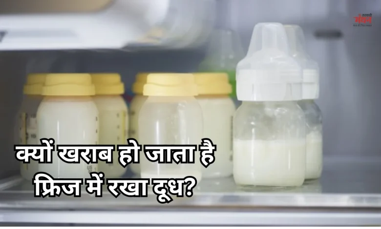 Milk Storage