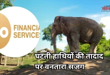 Photo of लाओस में हाथियों की सेहत का जिम्मा उठाएगा वनतारा