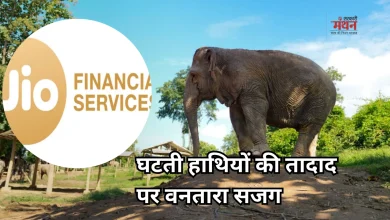 Photo of लाओस में हाथियों की सेहत का जिम्मा उठाएगा वनतारा