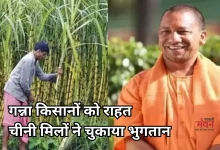 Photo of गन्ना किसानों की बल्ले-बल्ले, चीनी मिलों ने चुकाया पूरा बकाया, योगी सरकार ने दिए 3.25 लाख करोड़