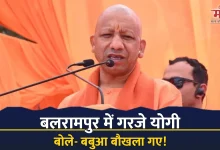 Photo of ‘छांगुर जैसों को नहीं पनपने देंगे, डेमोग्राफी बदलने की छूट नहीं’, बलरामपुर में गरजे सीएम योगी