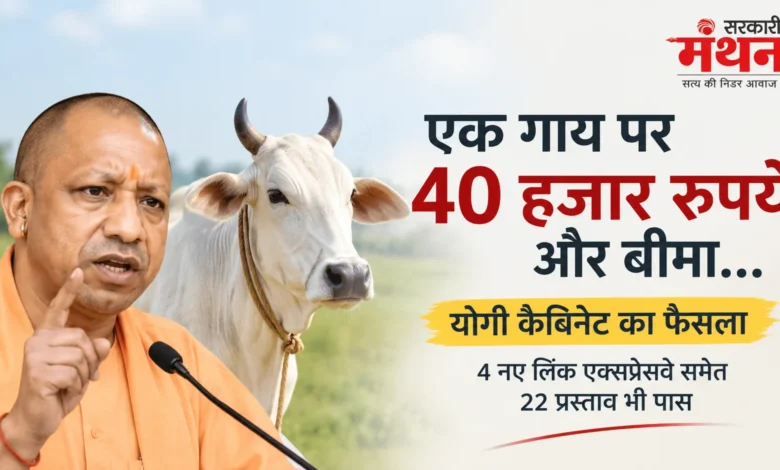 Yogi Cabinet