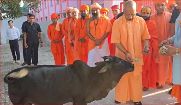 CM YOGI