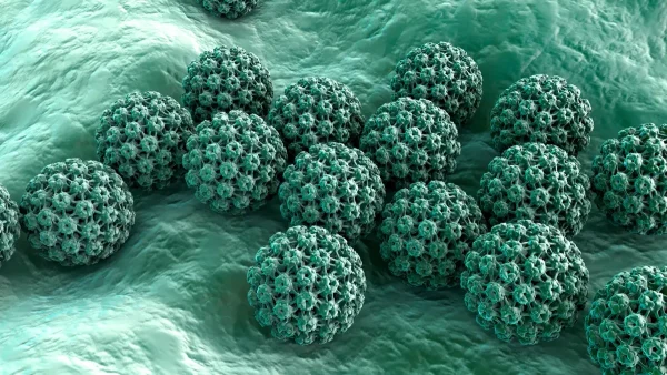 From HPV to H. pylori
