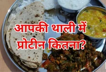 Photo of पेट भर रहा, पोषण नहीं: प्रोटीन की कमी से जूझ रही भारतीय थाली, रिपोर्ट में खुलासा