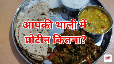 Photo of पेट भर रहा, पोषण नहीं: प्रोटीन की कमी से जूझ रही भारतीय थाली, रिपोर्ट में खुलासा