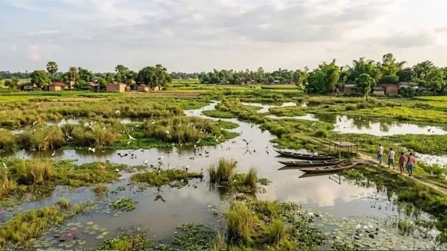 Wetland Conservation 