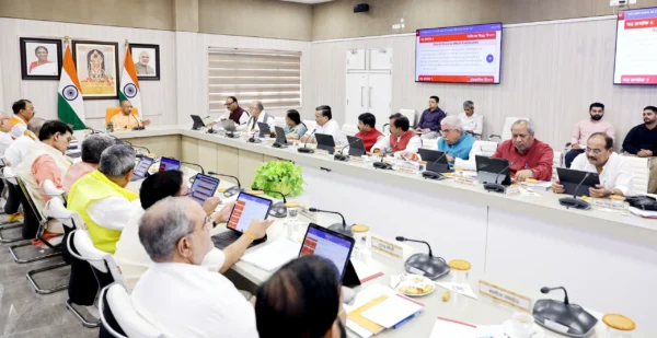 Yogi Cabinet